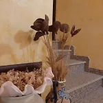 Su Frascu Segau 住宿加早餐酒店 3*