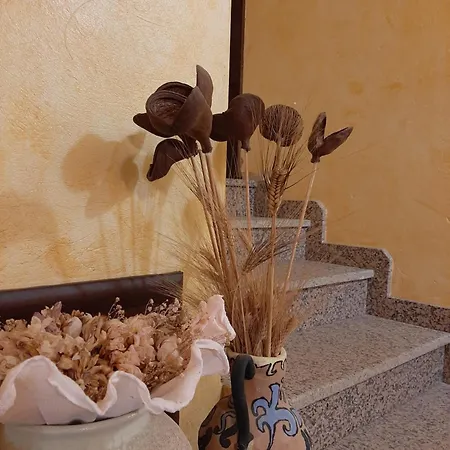 Su Frascu Segau Nocleg ze śniadaniem 3*