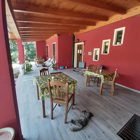 Su Frascu Segau *