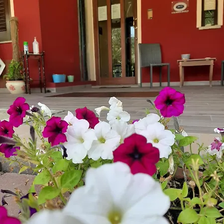 Su Frascu Segau 3*