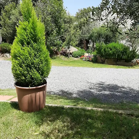 Su Frascu Segau