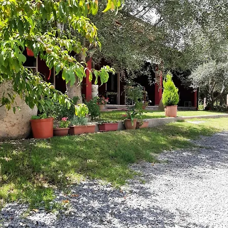 Su Frascu Segau 3*