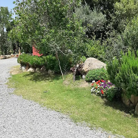 Su Frascu Segau 3*