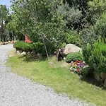 Su Frascu Segau 3*
